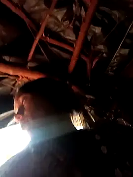 Cutsedi3 online show from 29, 10, 2025