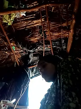 Cutsedi3 online show from 10, 1, 2026