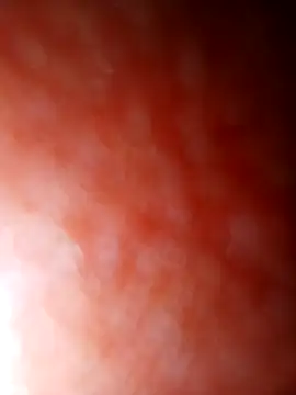 jhbswto online show from 30, 10, 2025