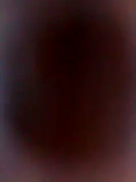 Snapshot of DankNewcomer chatting on 31, 10, 2025 DankNewcomer online show from 31, 10, 2025