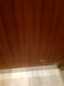 leeya14 online show from 11, 10, 2025