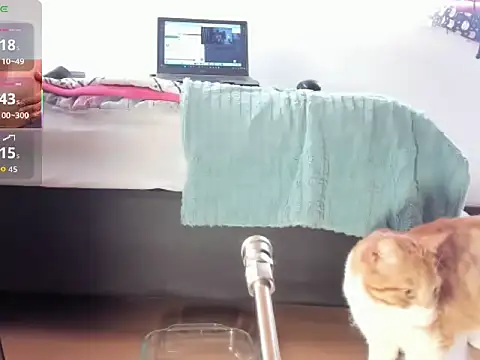 Snapshot of __Aragon__ chatting on 4, 11, 2025 Aragon online show from 4, 11, 2025