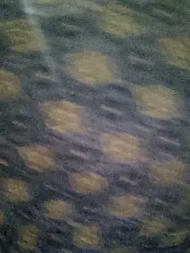 Tanha18 online show from 5, 12, 2025