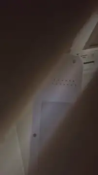 Snapshot of bunnydam chatting on 6, 11, 2025 bunnydam online show from 6, 11, 2025