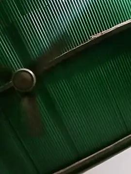 Jessica-03 online show from 13, 3, 2026