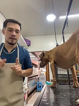 Snapshot of Leonardmoppet chatting on 5, 11, 2025 Leonardmoppet online show from 5, 11, 2025