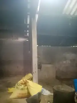 Myzak- online show from 18, 10, 2025