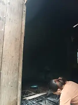 Myzak- online show from 19, 7, 2026