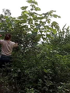 Myzak- online show from 21, 7, 2026