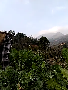 omai-ngot online show from 19, 1, 2026