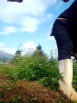 Snapshot of nui-show chatting on 16, 11, 2025 nui-show online show from 16, 11, 2025