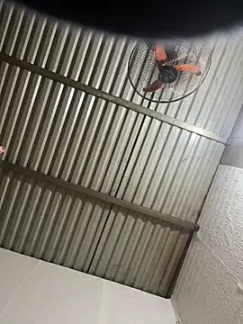 Snapshot of tabby-cat11 chatting on 3, 2, 2026 tabby-cat11 online show from 3, 2, 2026