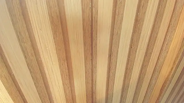 Snapshot of mia__blaze__ chatting on 22, 12, 2025 mia blaze online show from 22, 12, 2025