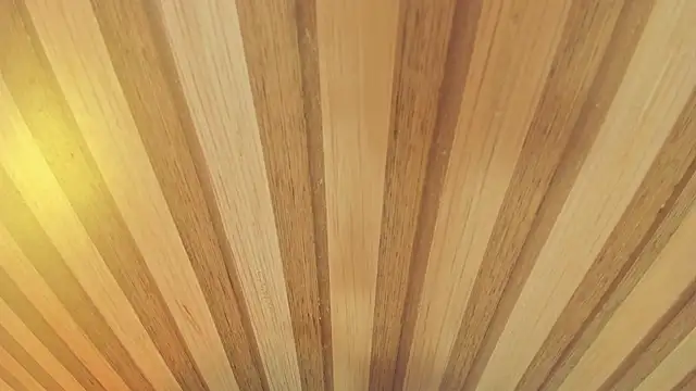 Snapshot of mia__blaze__ chatting on 13, 1, 2026 mia blaze online show from 13, 1, 2026