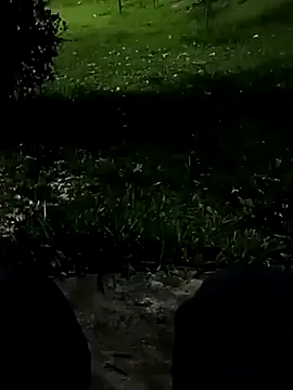 roludao fun online show from 10, 11, 2025