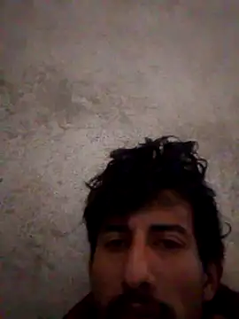 Orlao25cm online show from 6, 2, 2026