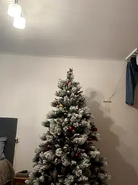 Amelia-Diamond online show from 15, 12, 2025