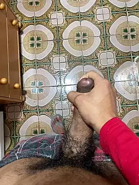 Anaconda Negra20 online show from 8, 11, 2025