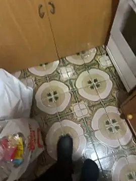 Anaconda Negra20 online show from 16, 12, 2025