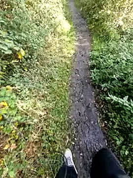 bbyxklaus online show from 2, 11, 2025