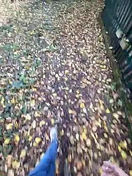 bbyxklaus online show from 4, 11, 2025