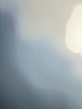 wellingtonmds online show from 23, 12, 2025