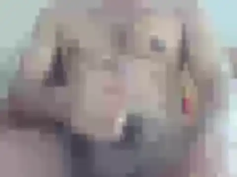 nick2445 online show from 18, 4, 2026