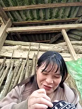 chipu06 online show from 15, 11, 2025