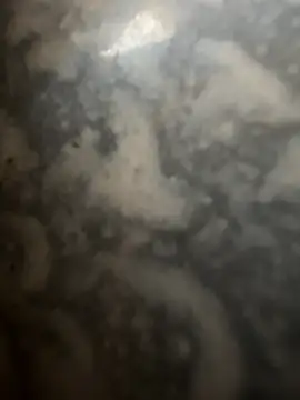 bart98geil online show from 16, 2, 2026