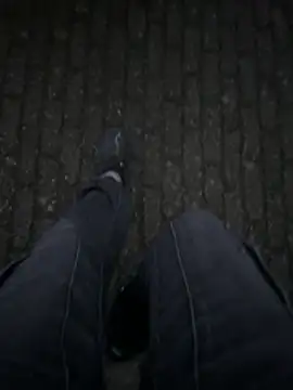 bart98geil online show from 20, 2, 2026