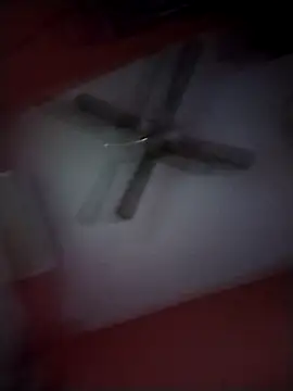 Danii2005 online show from 25, 11, 2025