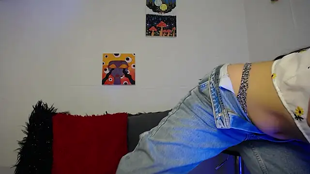 Snapshot of _IR1S_ chatting on 28, 11, 2025 IR1S online show from 28, 11, 2025