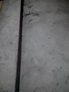 Snapshot of rickkis2k chatting on 16, 12, 2025 rickkis2k online show from 16, 12, 2025