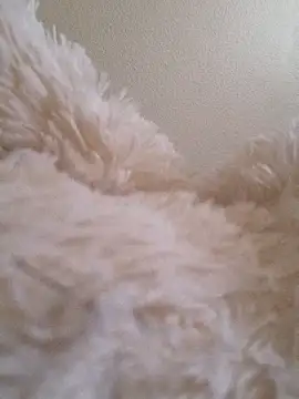 Bruninhadeusa online show from 19, 12, 2025