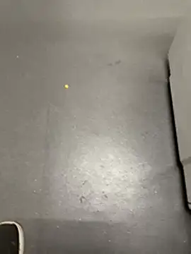 blacksamii2 online show from 10, 3, 2026