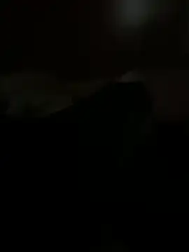 Snapshot of PassionCoupleLove chatting on 26, 10, 2025 PassionCoupleLove online show from 26, 10, 2025