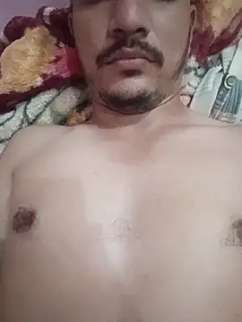 Snapshot of indoregigolo chatting on 14, 11, 2025 indoregigolo online show from 14, 11, 2025