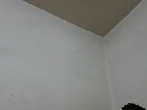 Snapshot of GordoChancludoSLP chatting on 25, 11, 2025 GordoChancludoSLP online show from 25, 11, 2025