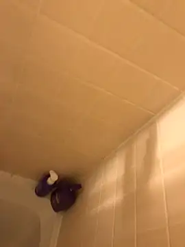 meatzzzzzz online show from 7, 2, 2026