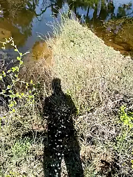 Snapshot of devil_boy_0909 chatting on 7, 11, 2025 devil boy 0909 online show from 7, 11, 2025