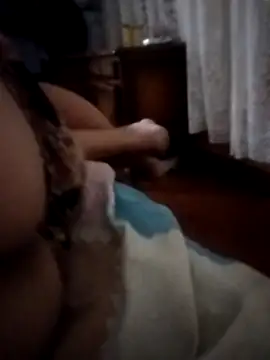 Snapshot of pampa4456 chatting on 16, 12, 2025 pampa4456 online show from 16, 12, 2025