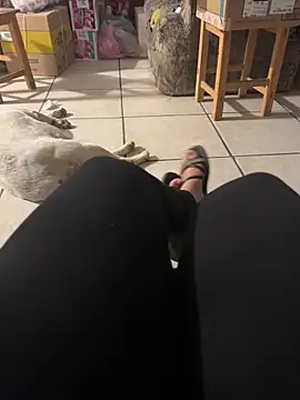 Evil kitty6 online show from 15, 12, 2025