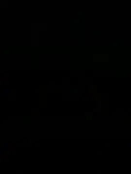 WildNour online show from 1, 4, 2026