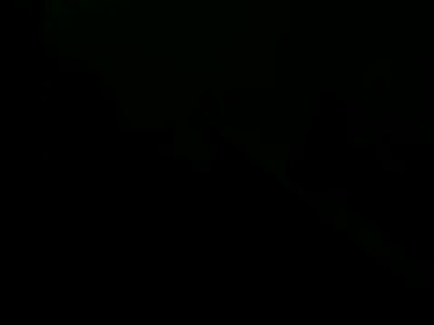 giovanift111 online show from 29, 10, 2025