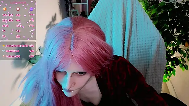 karkadeshk online show from 5, 4, 2026