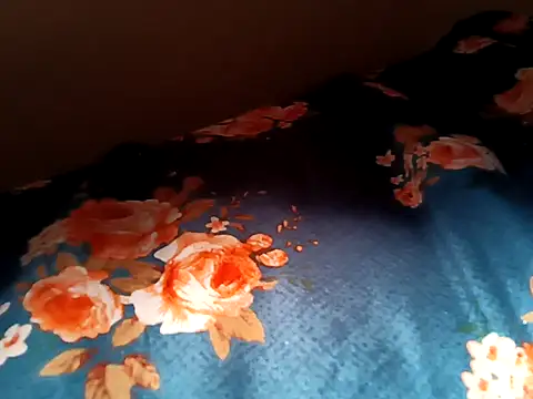 bigtelugubhama online show from 12, 2, 2026