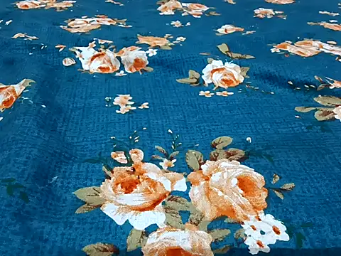 bigtelugubhama online show from 21, 4, 2026