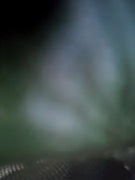 Georgette466 online show from 18, 4, 2026