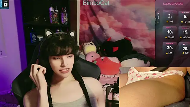 BimboCat online show from 15, 11, 2025