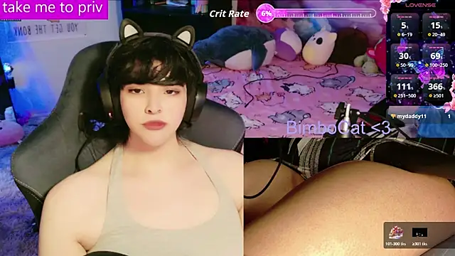 BimboCat online show from 3, 2, 2026